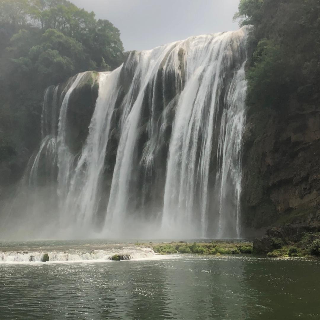 杨群