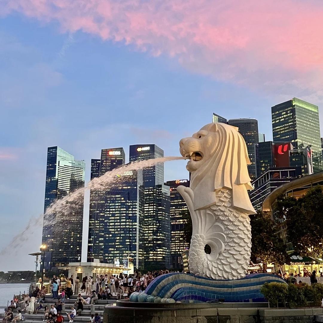 华天国际海外规划