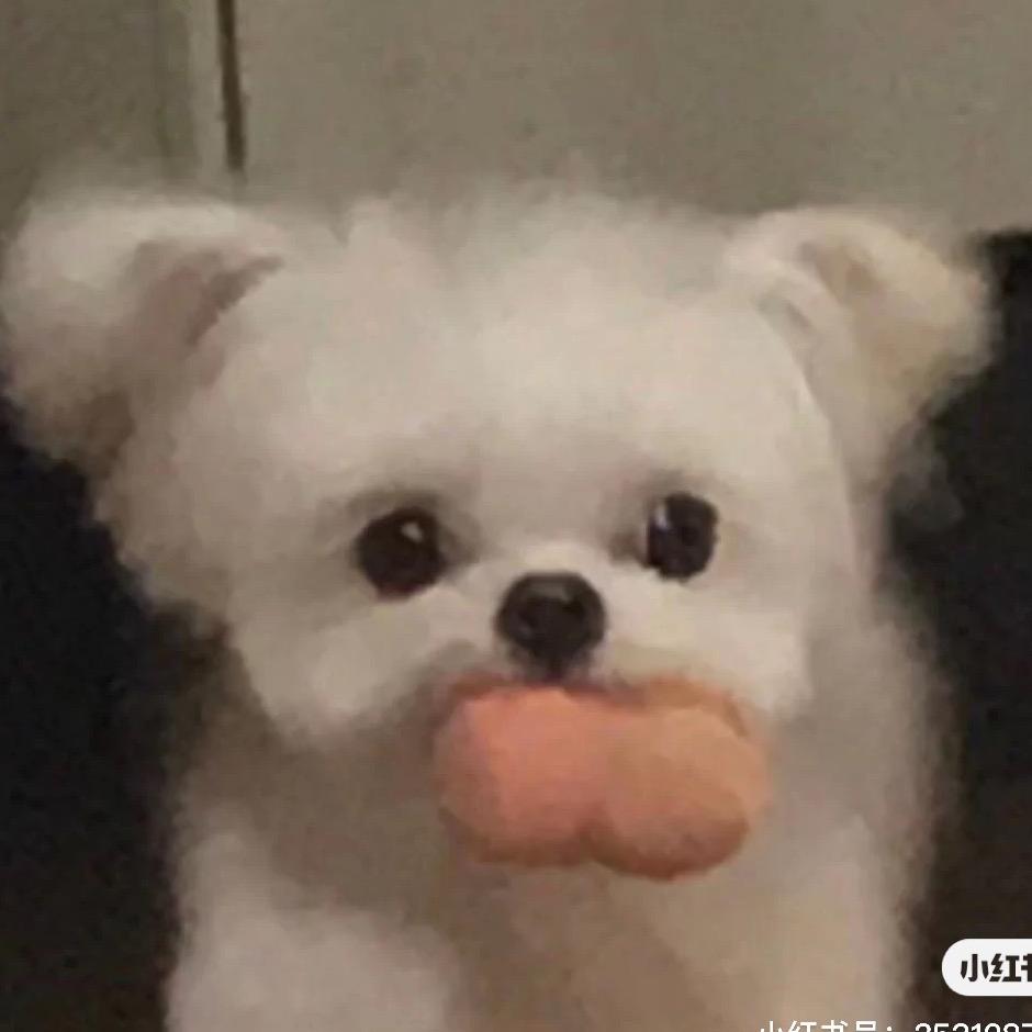 不要蒜泥🥲