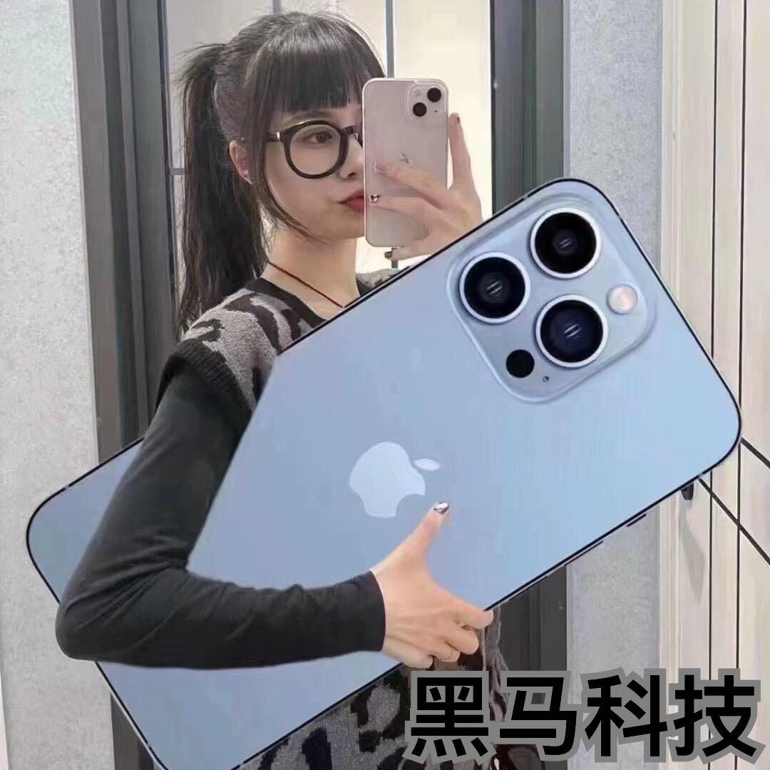 黑马维修l全国寄修