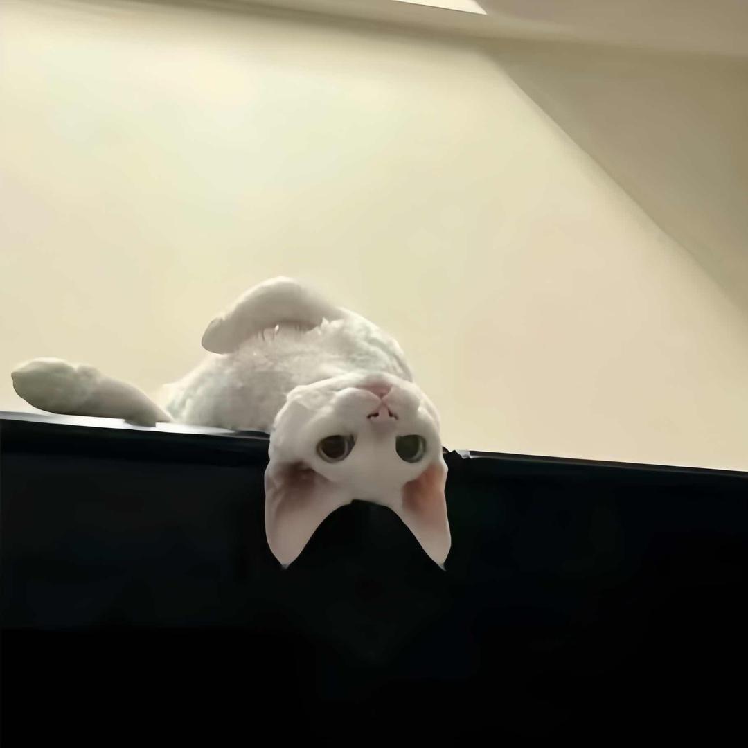 C c