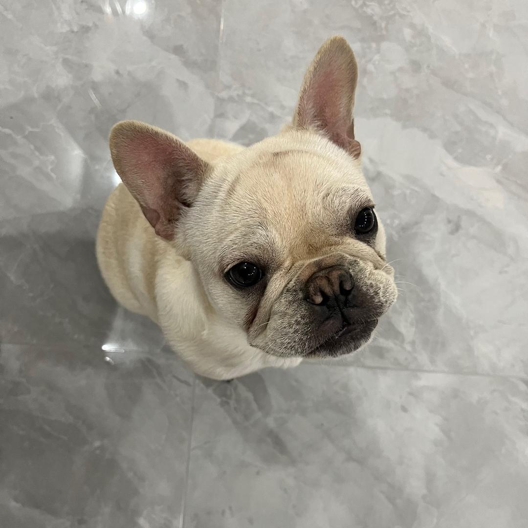 @椰子说剧