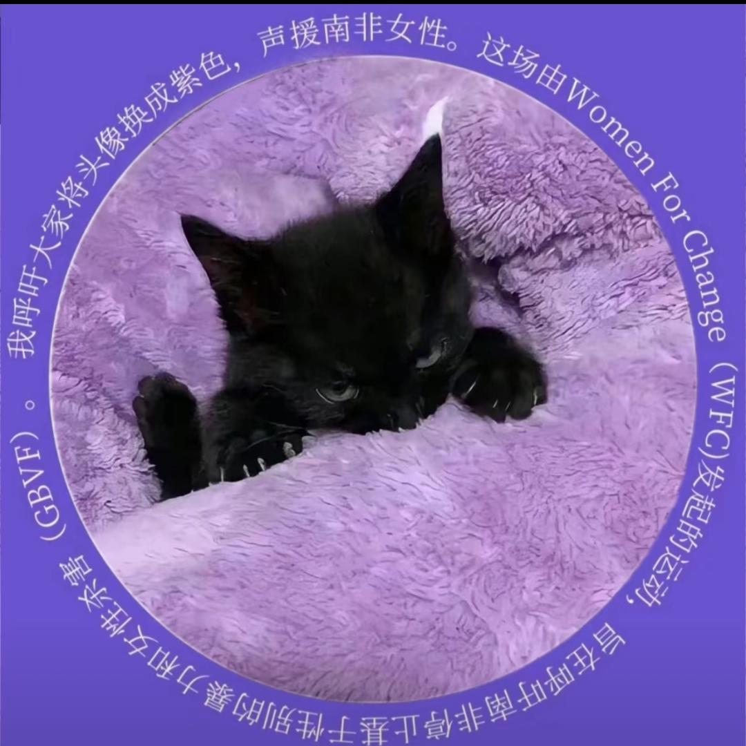 巧克力味风卷卷🌬️