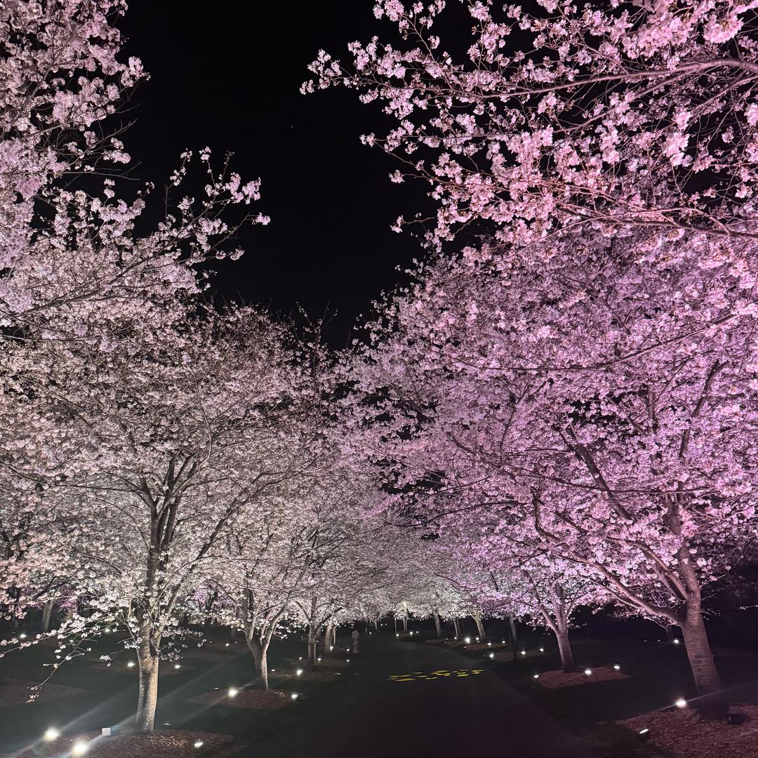 失业的中年少女