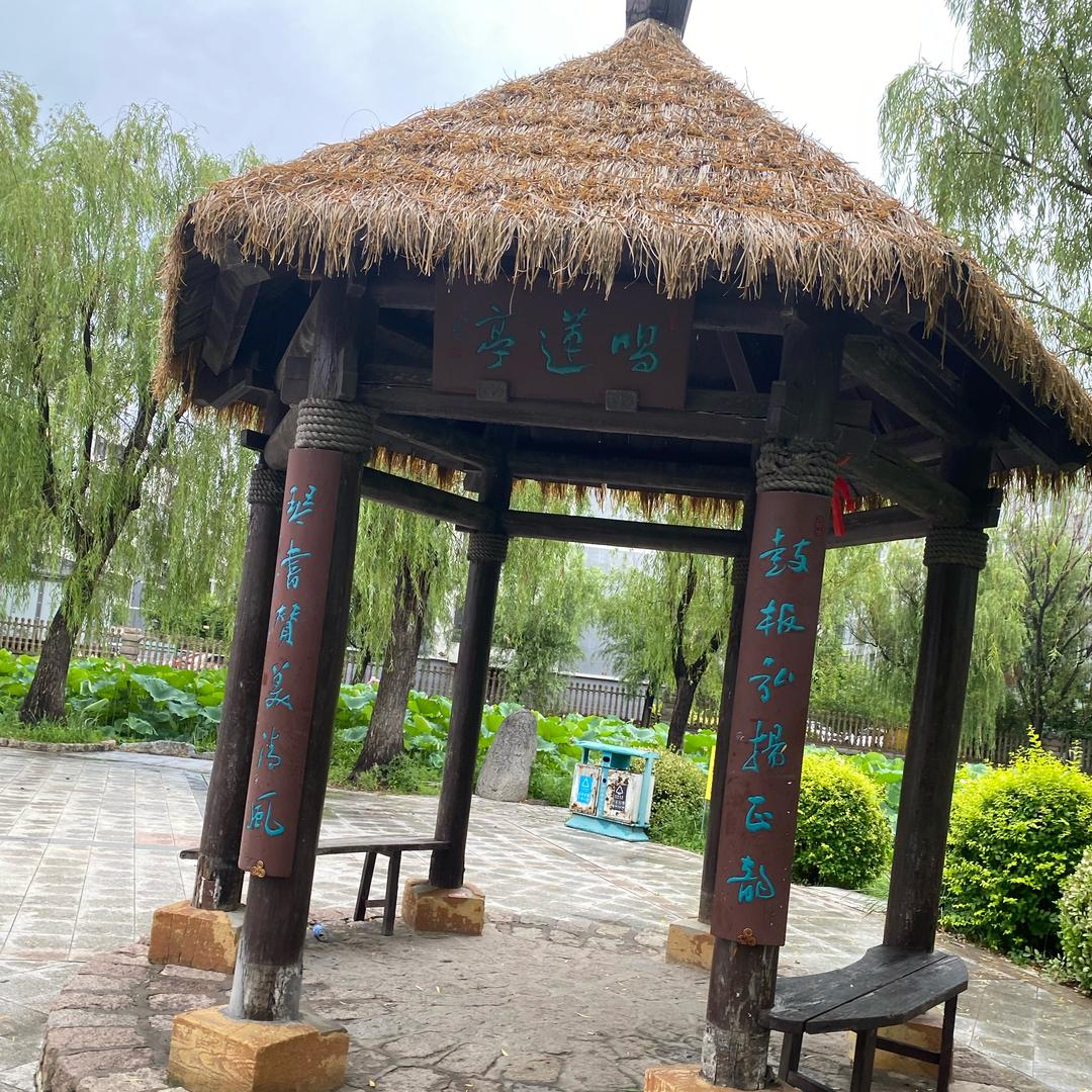 财神爷的小宝贝🎎