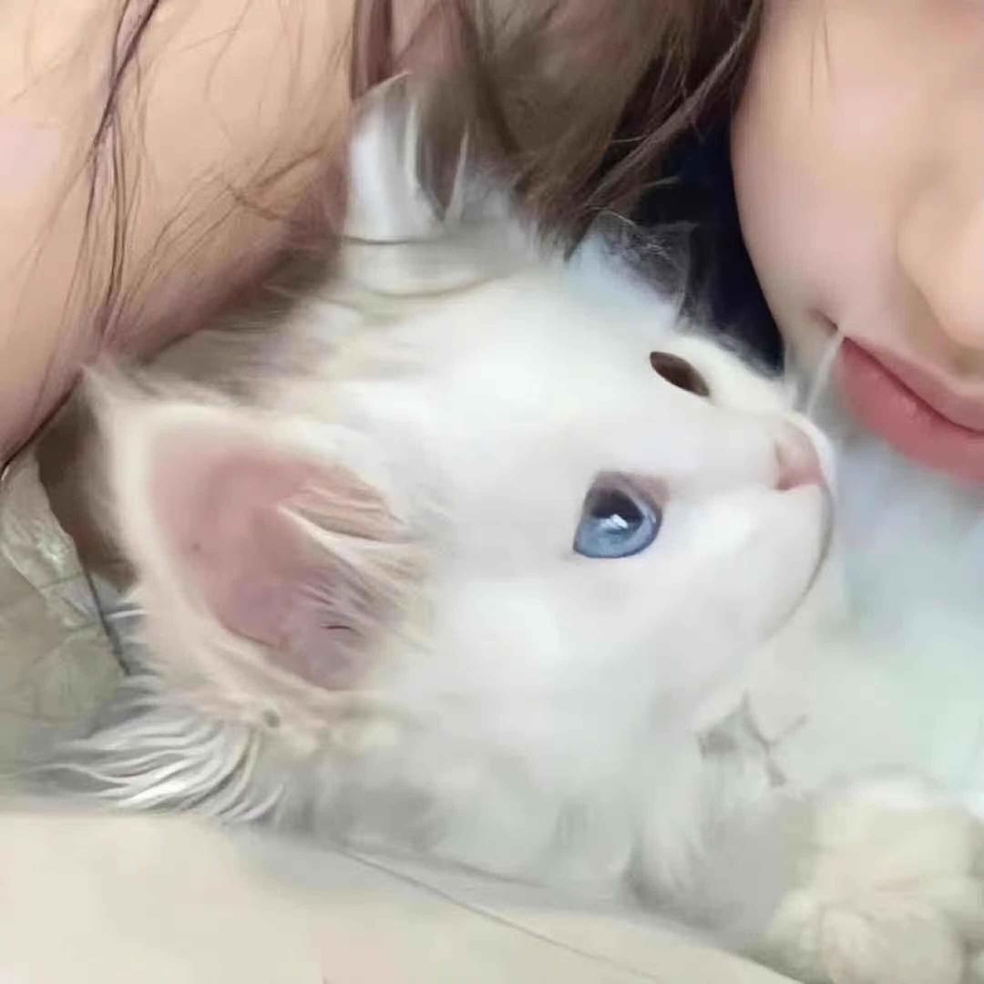 小祖宗的陈先生