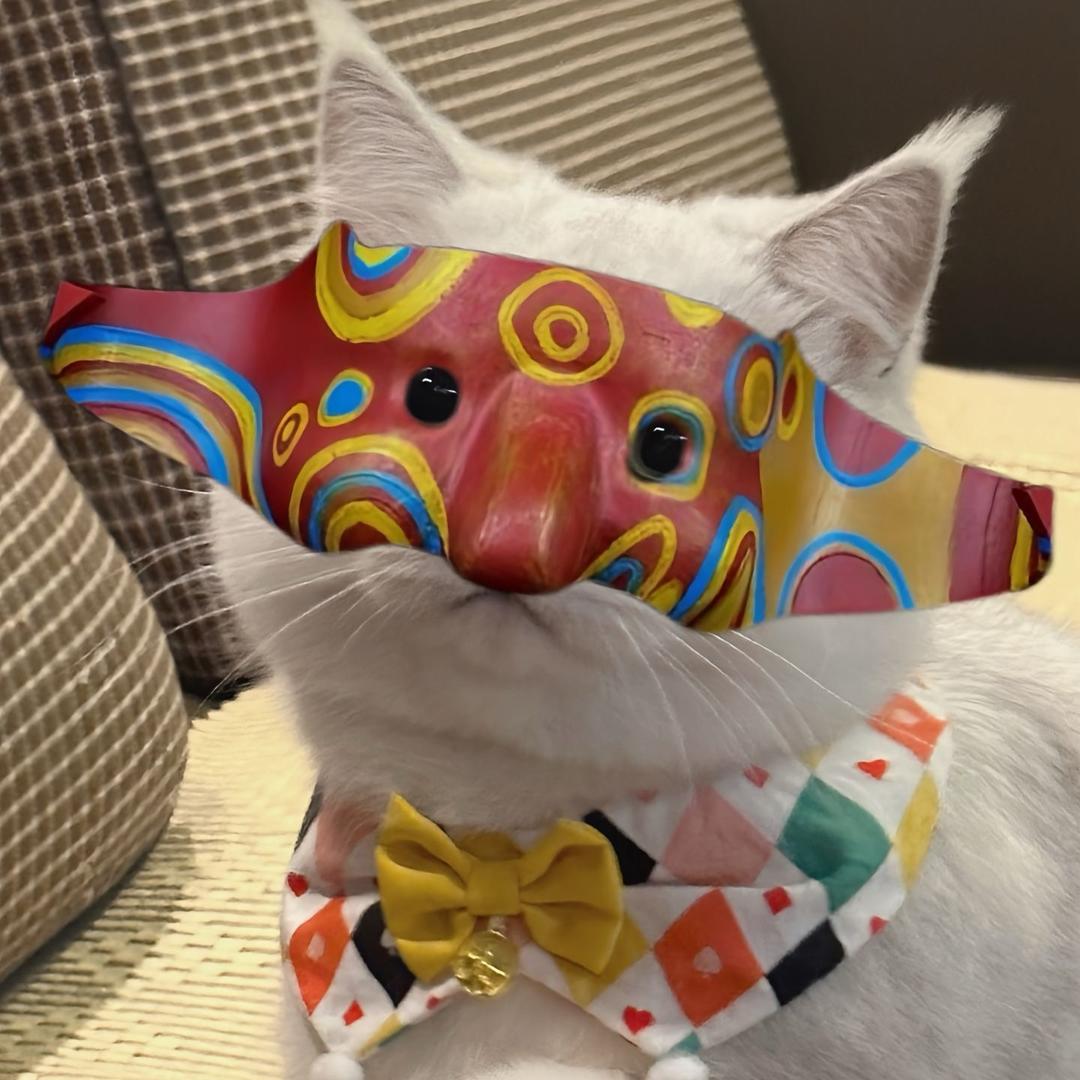 偏我来时不逢春.