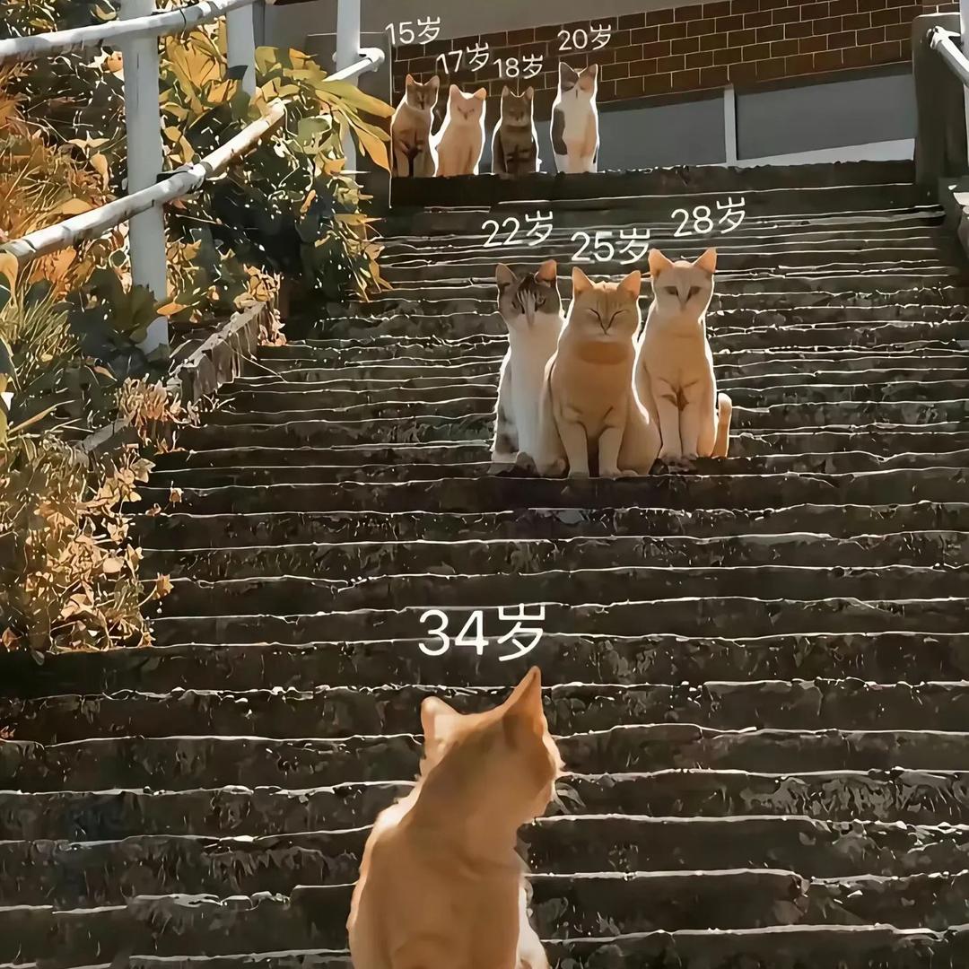 小王一直在努力