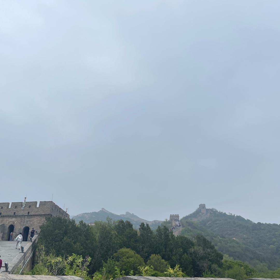 5号哈哈哈