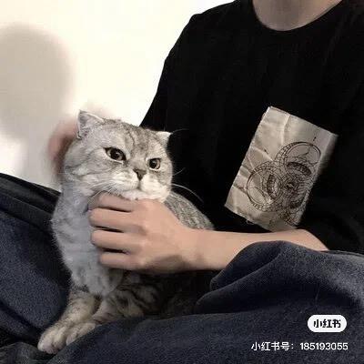顺顺