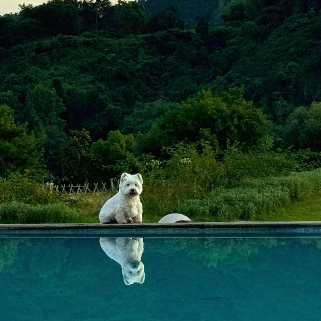 曾经的海誓山盟