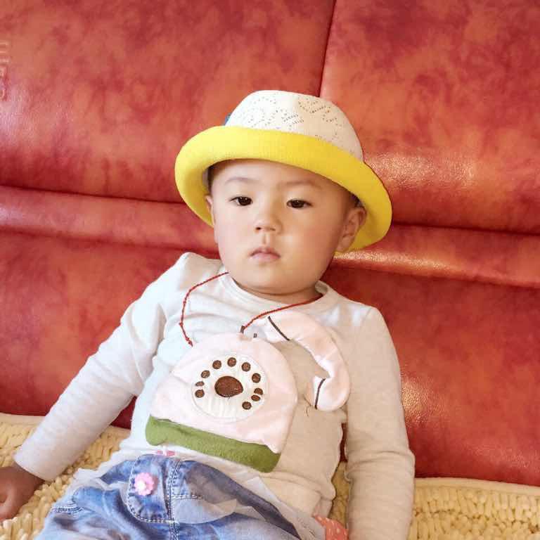孤傲的狼！