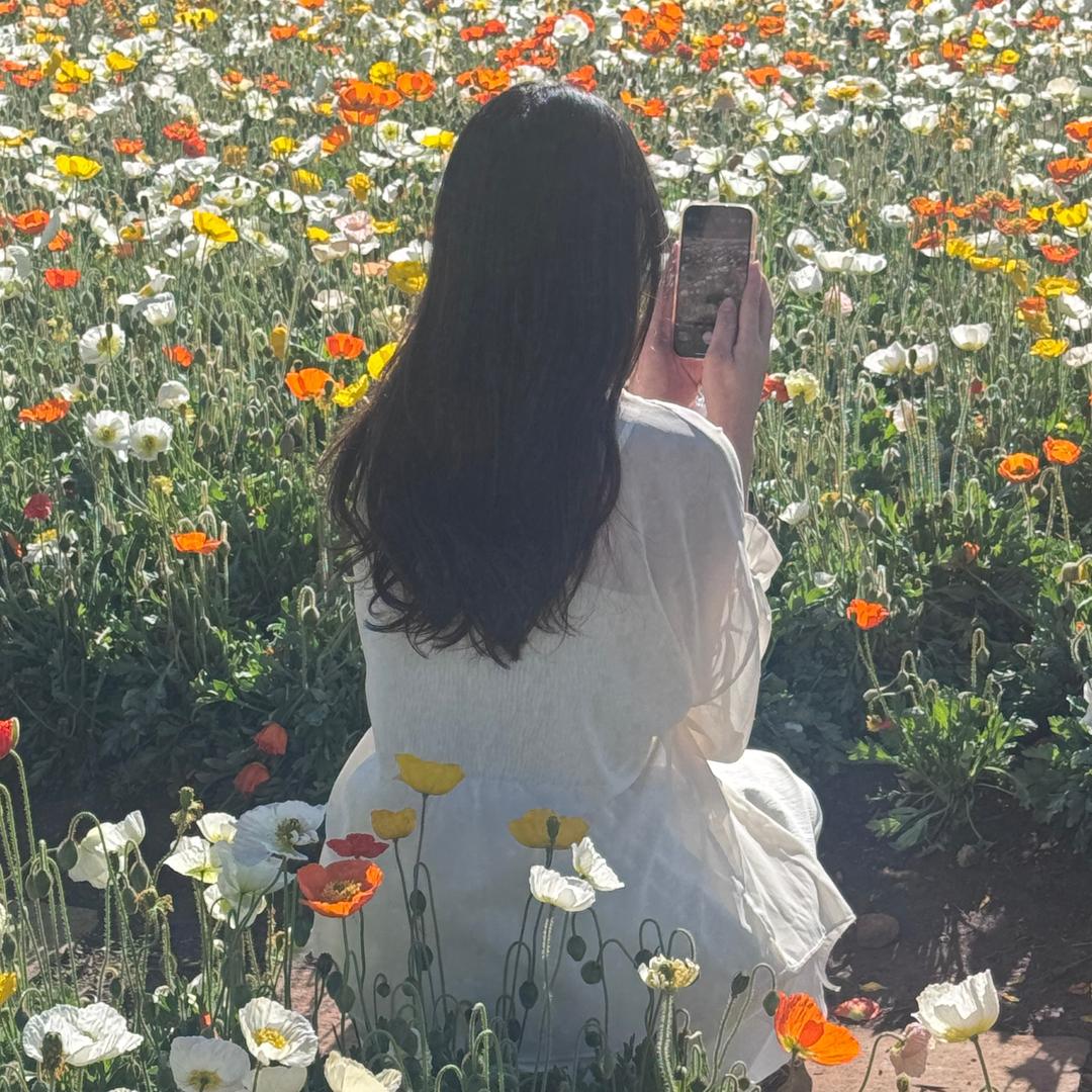 洋洋♡