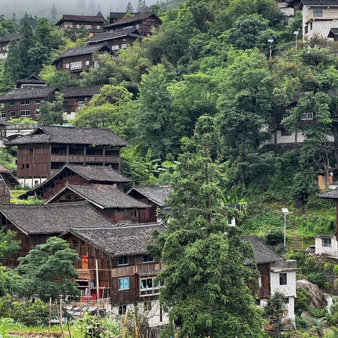 大山里的小辉