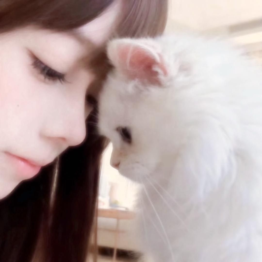 🐈