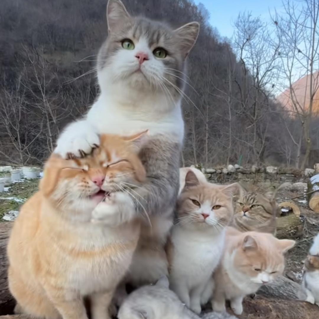 强壮如我