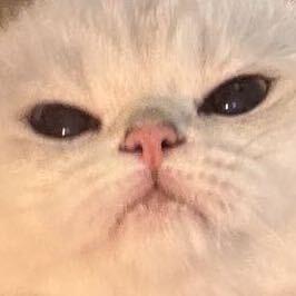 圆一耶