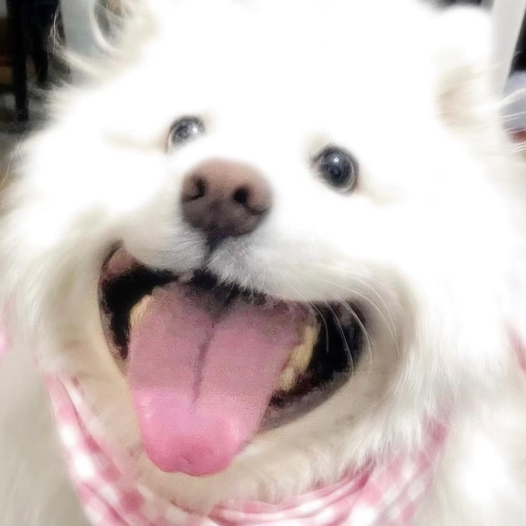 每天都好困