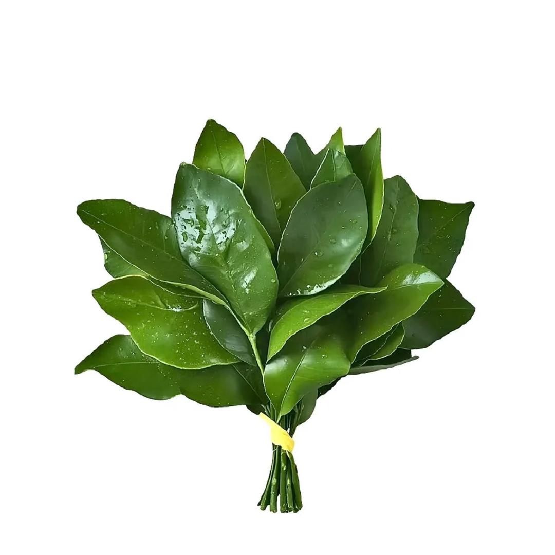满舒克