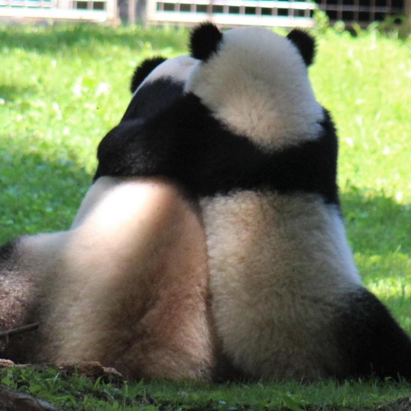 豆伴