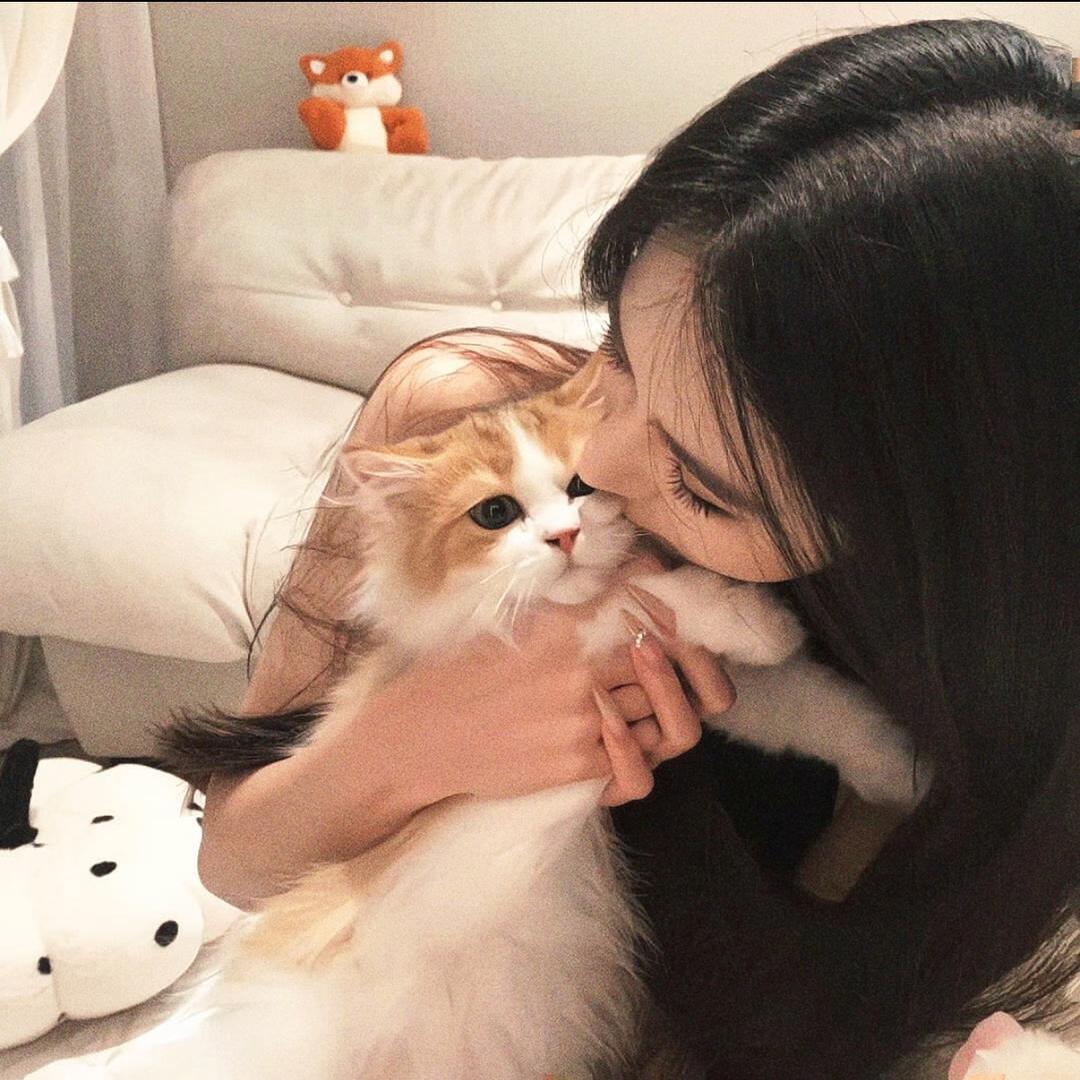 秋秋别刷了
