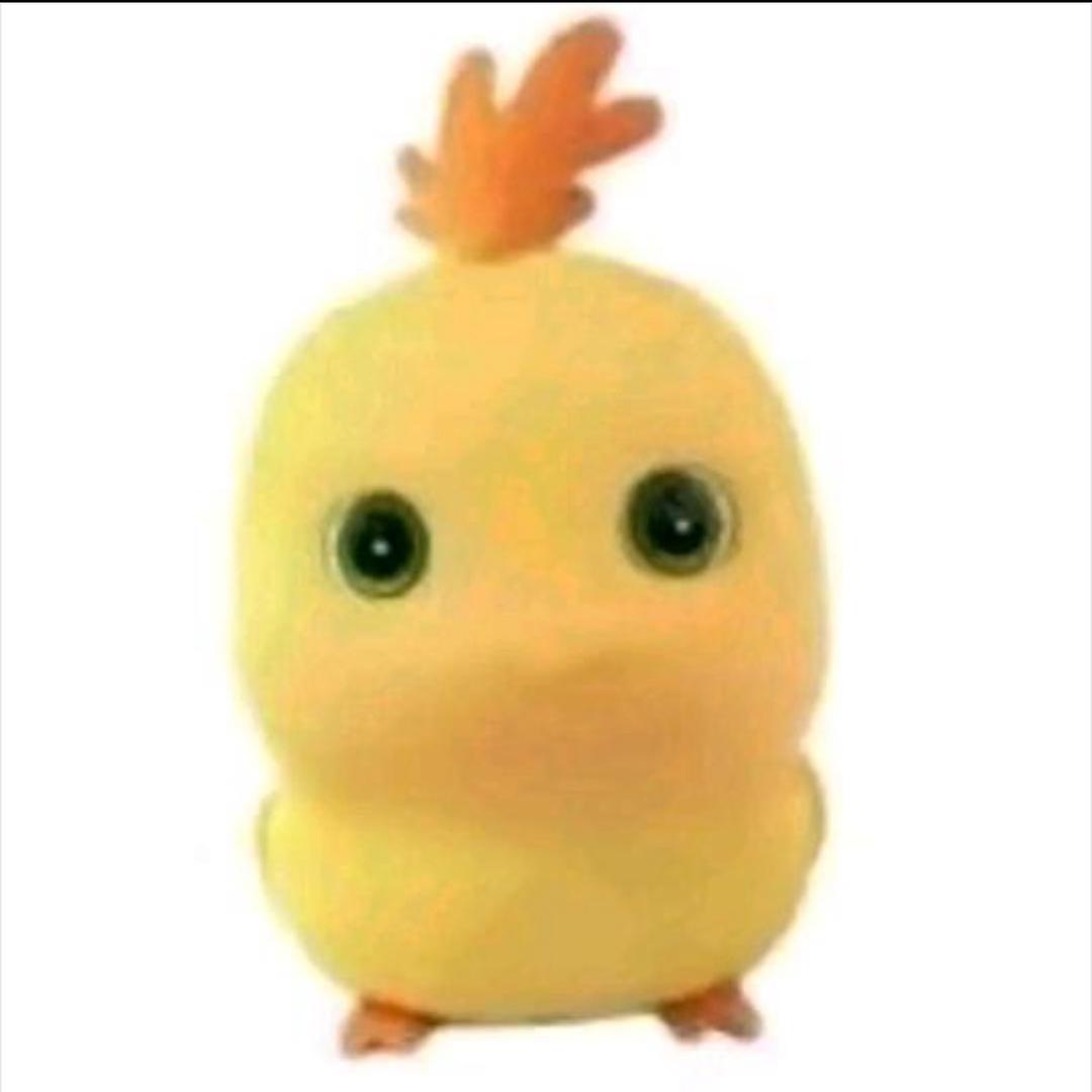 奶鸡