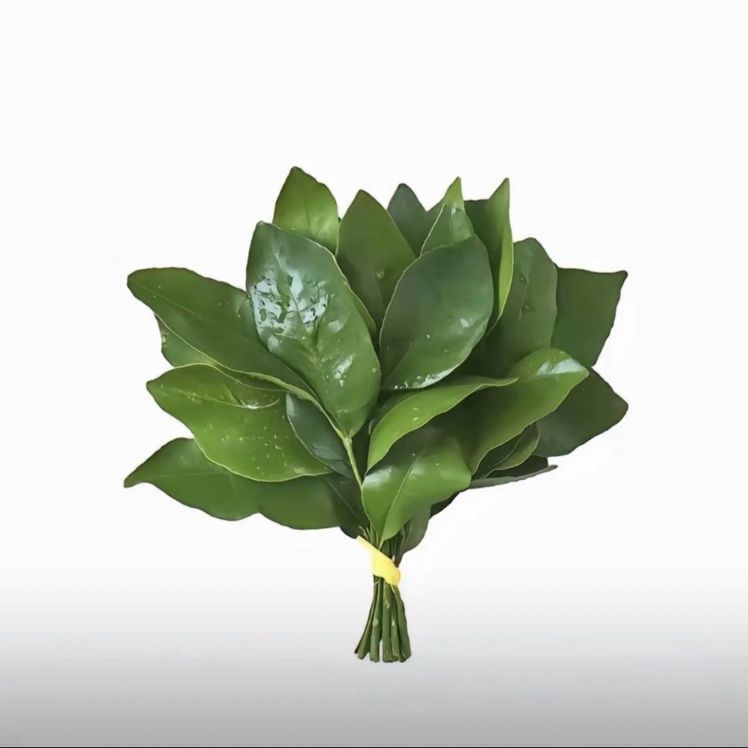 拍照只会比耶ಣ