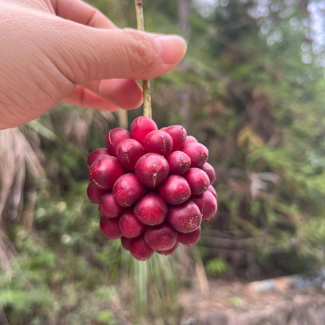 丽姐创业记·从0开始做问题肌