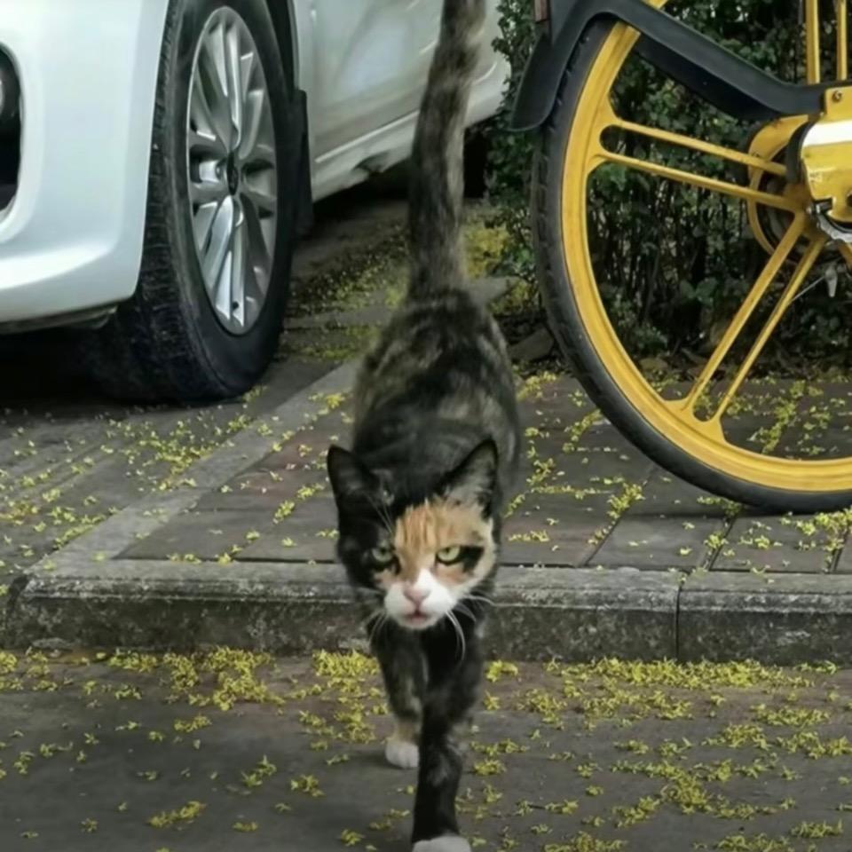 单行道