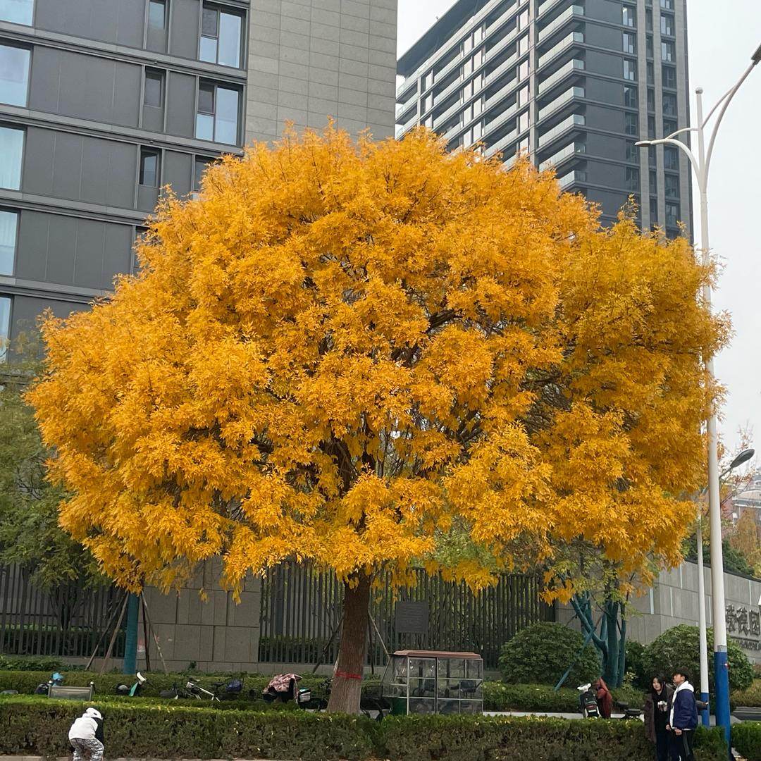 多姥爷食品铺子