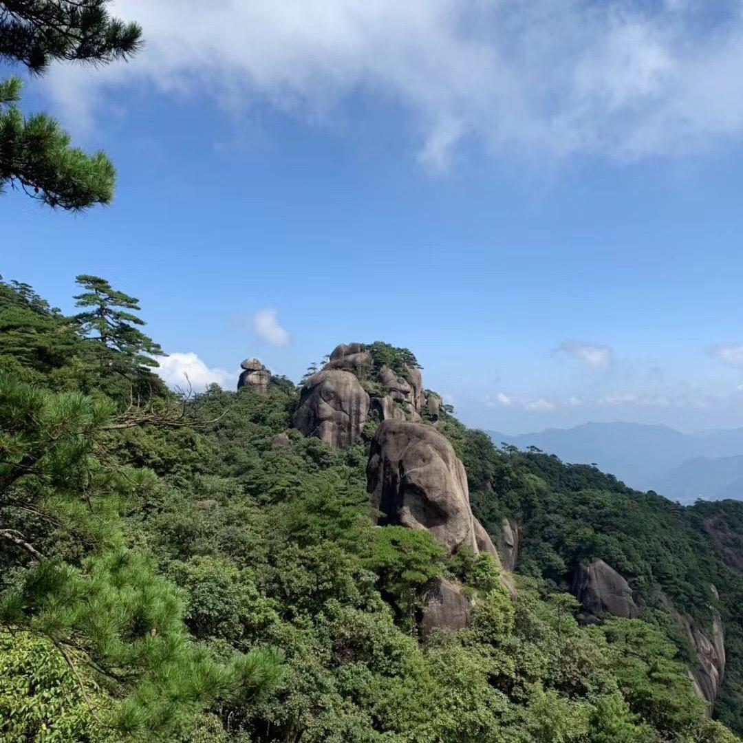 🌿  青梅竹马  🍂