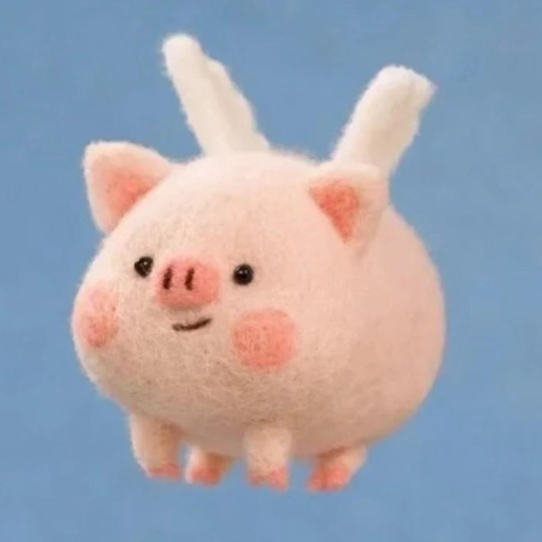 🐷猪头禾禾