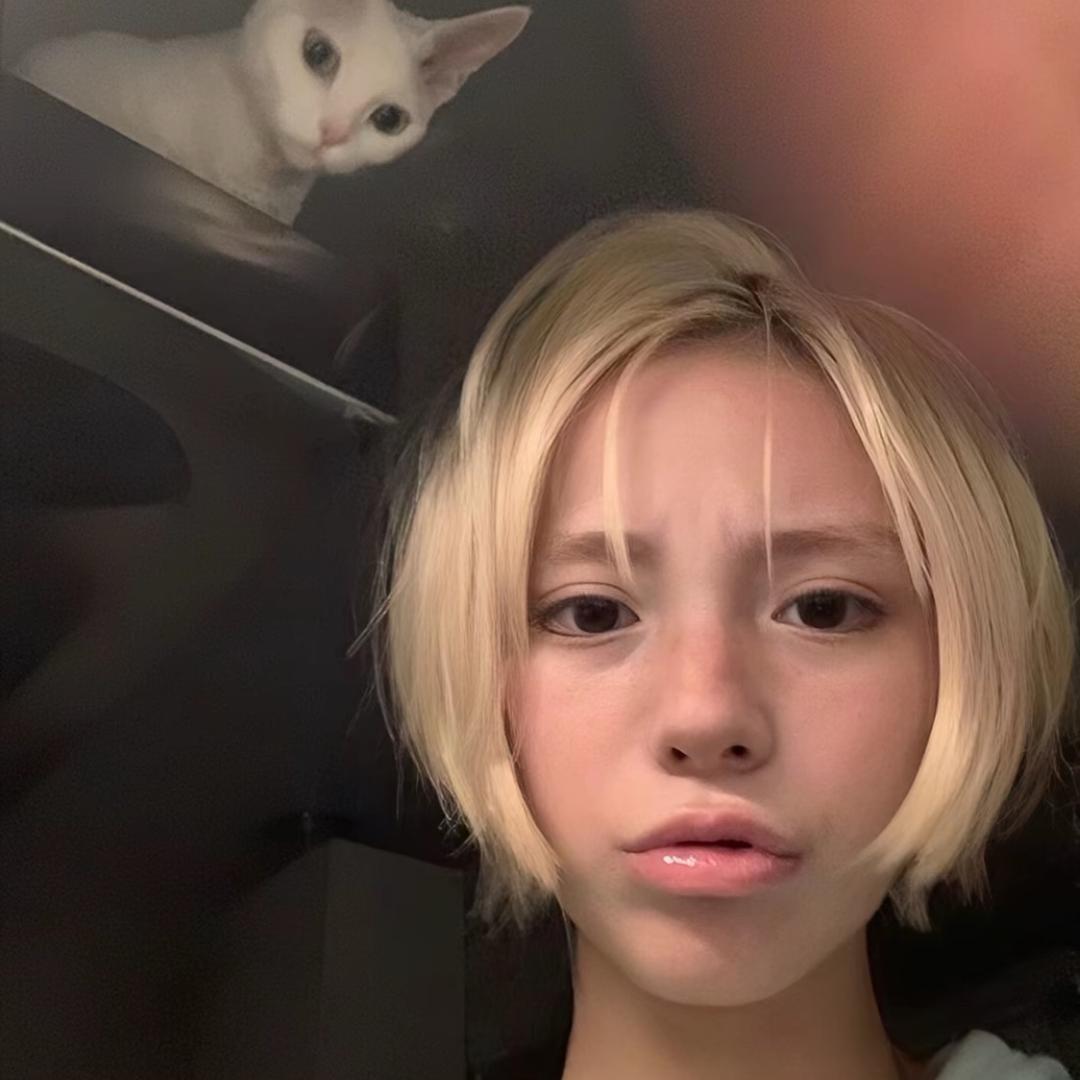 总裁