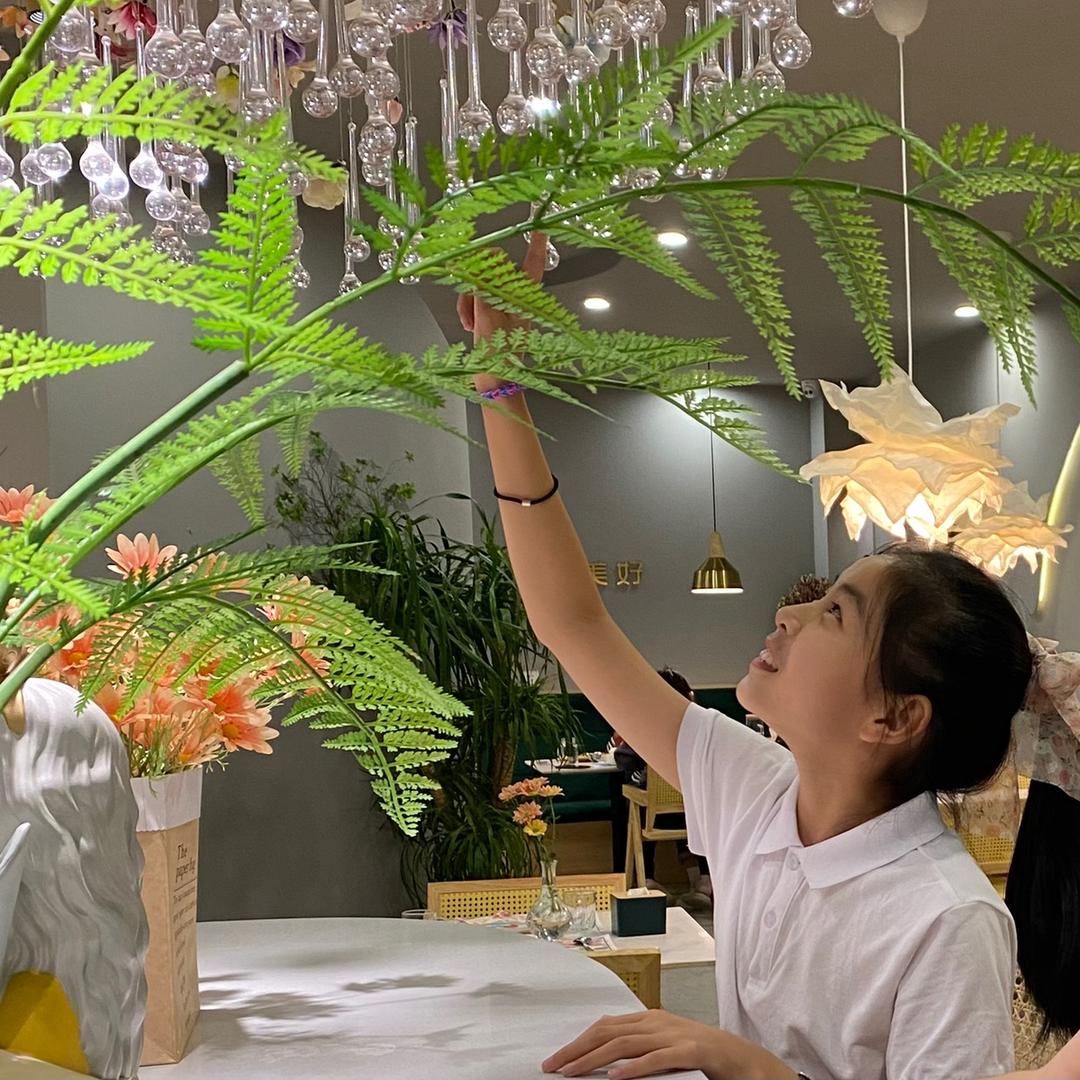 梓妍小同学