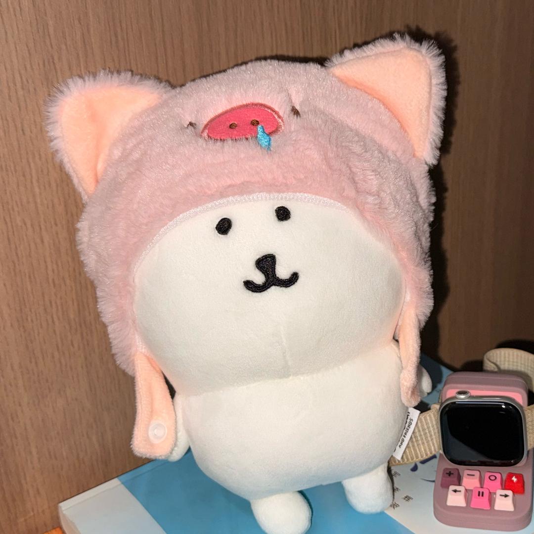塔斯汀比伯
