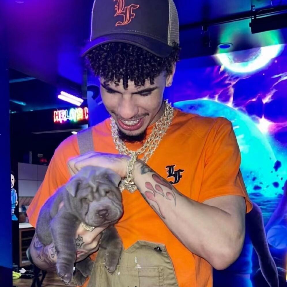 llll.