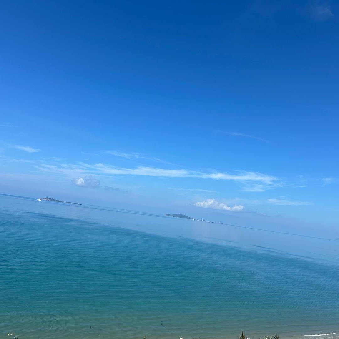 忠灿