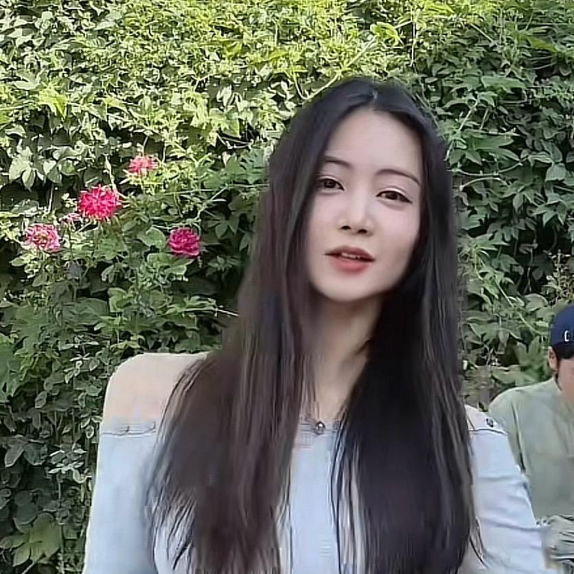 小小101的铁粉