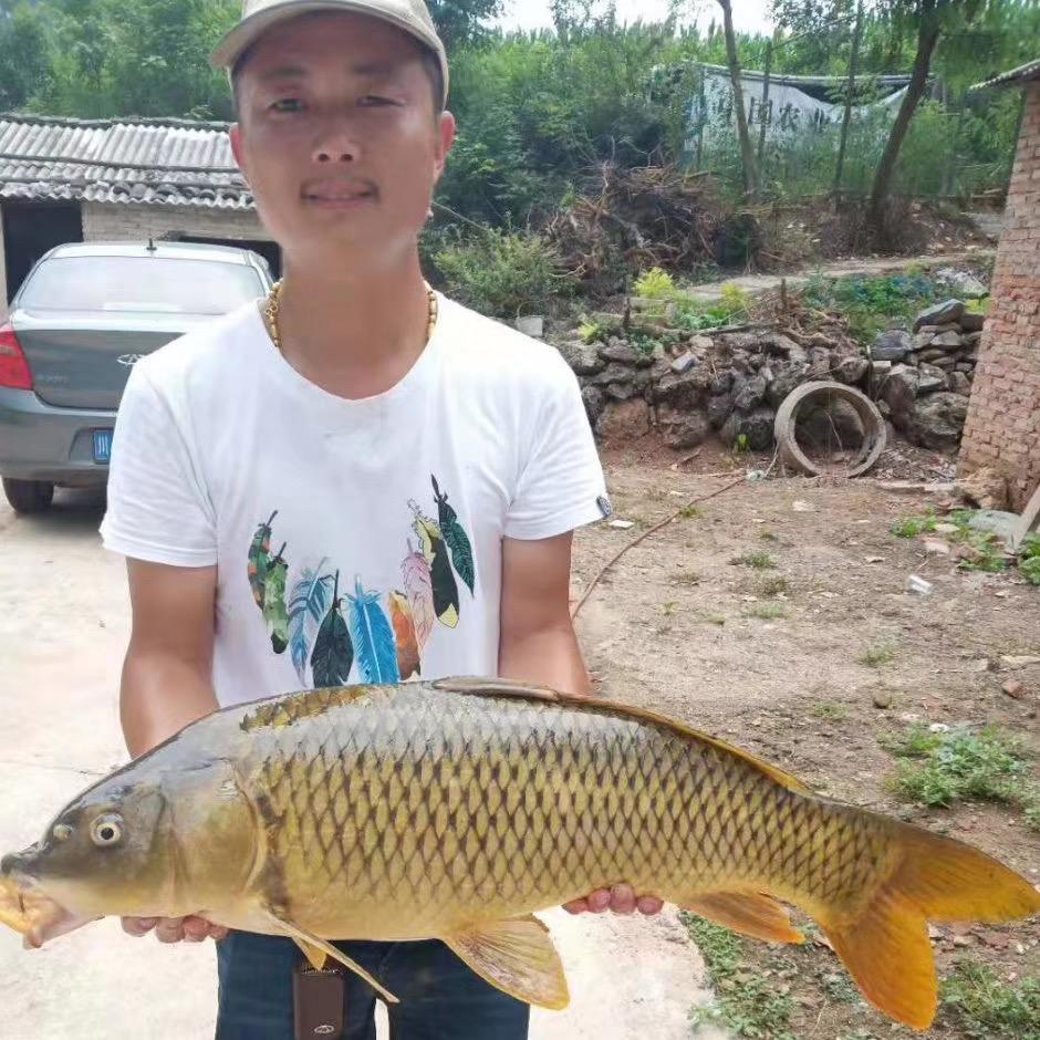 罗一竿渔具(专业改鱼竿)