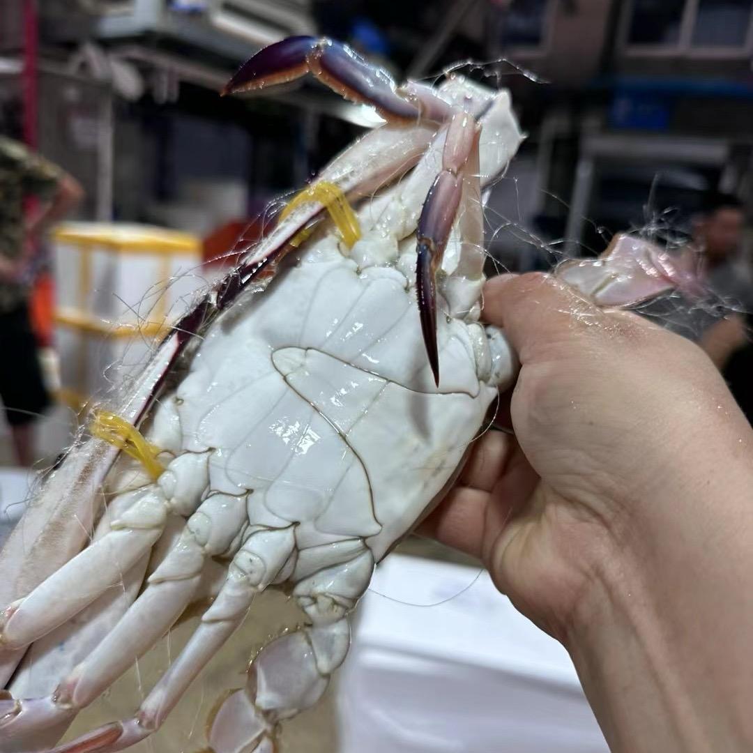 舟山海鲜精品店