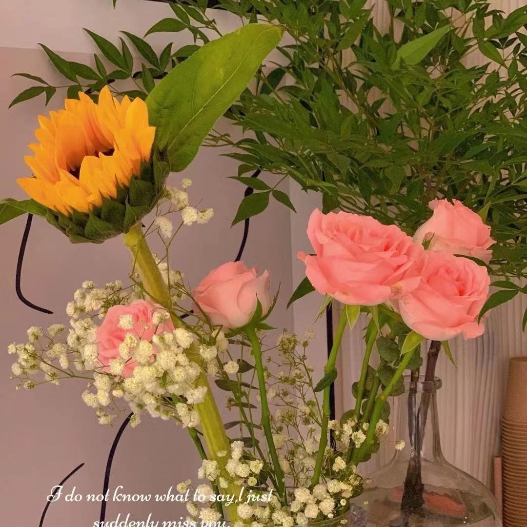 开开心心的每一天