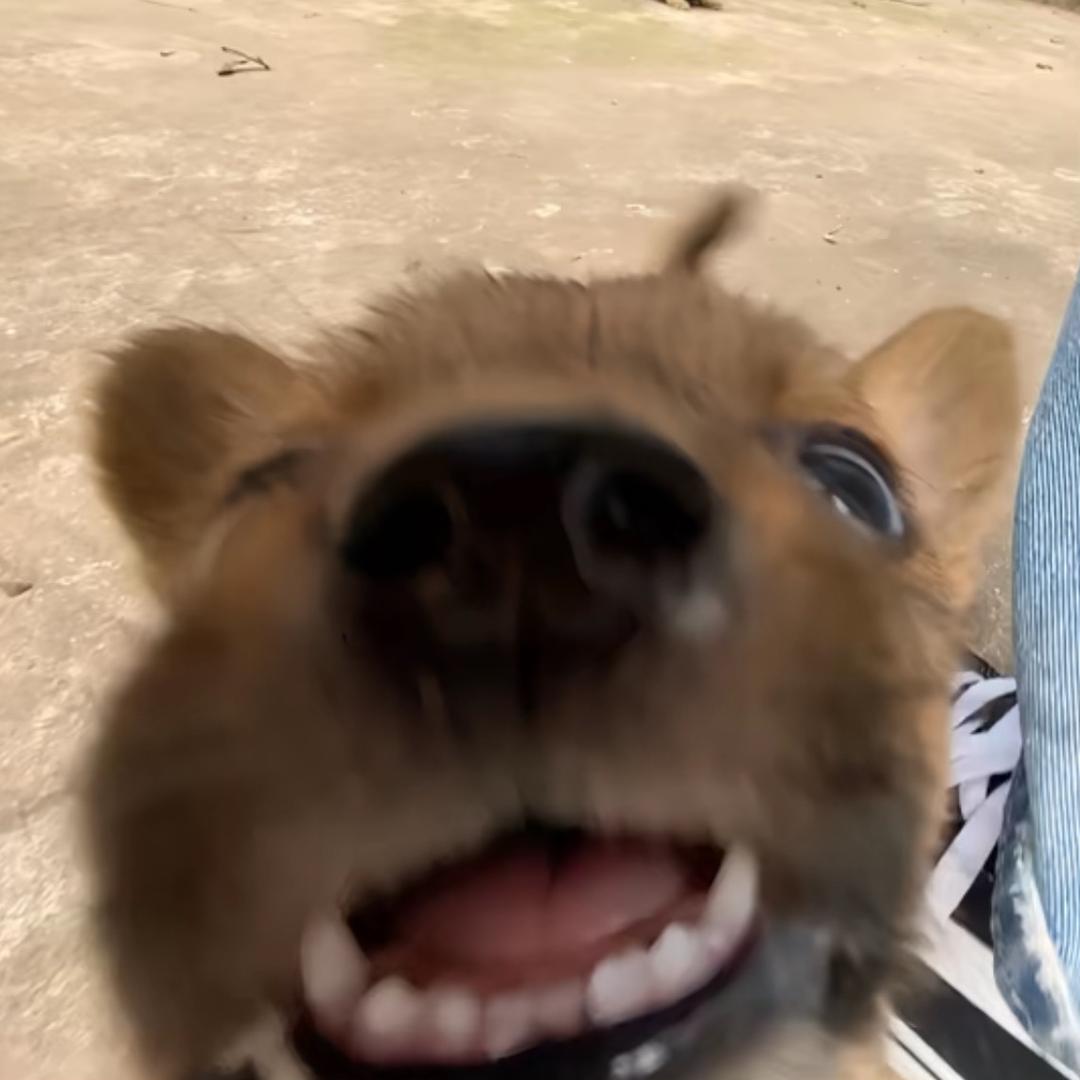 19了我妈晚上十点还收我手机