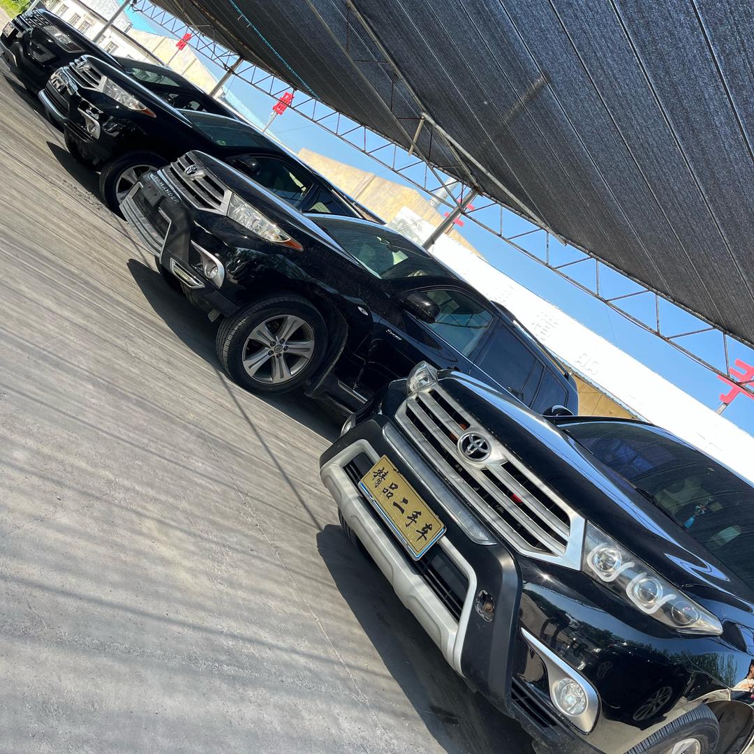 养了一批汉兰达