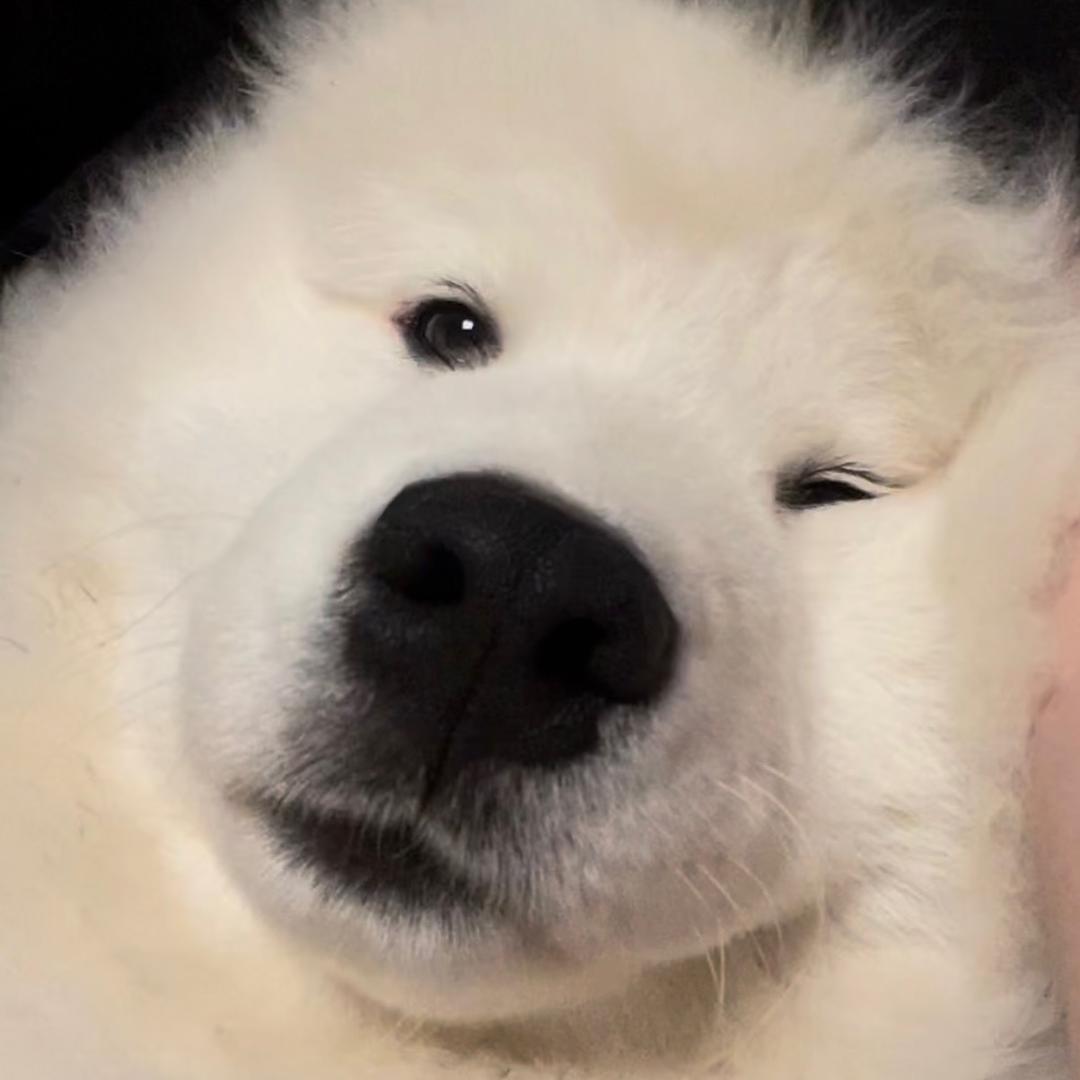 耶耶耶椰汁