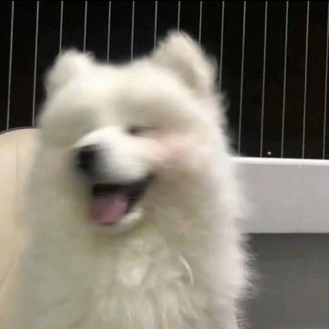 苑