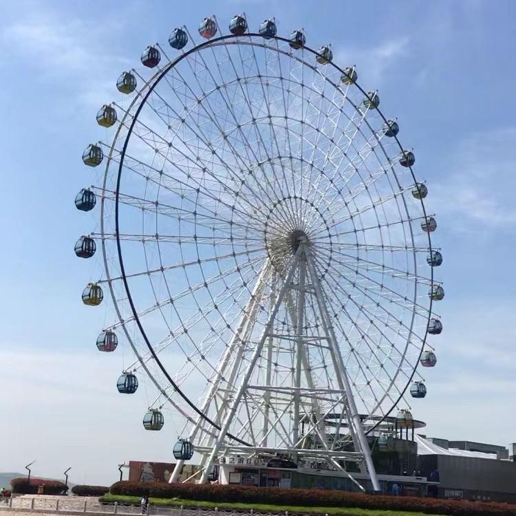 鲨疯了别管我 🦈