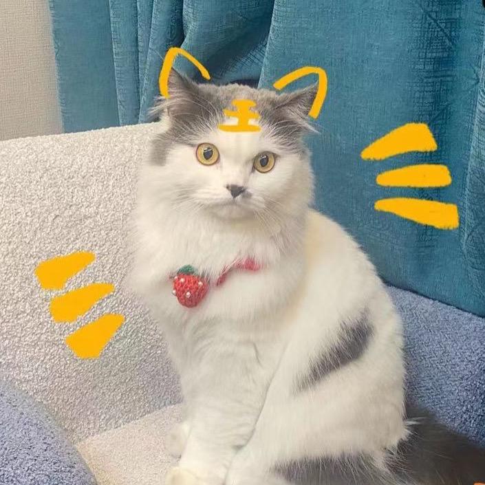 kiki