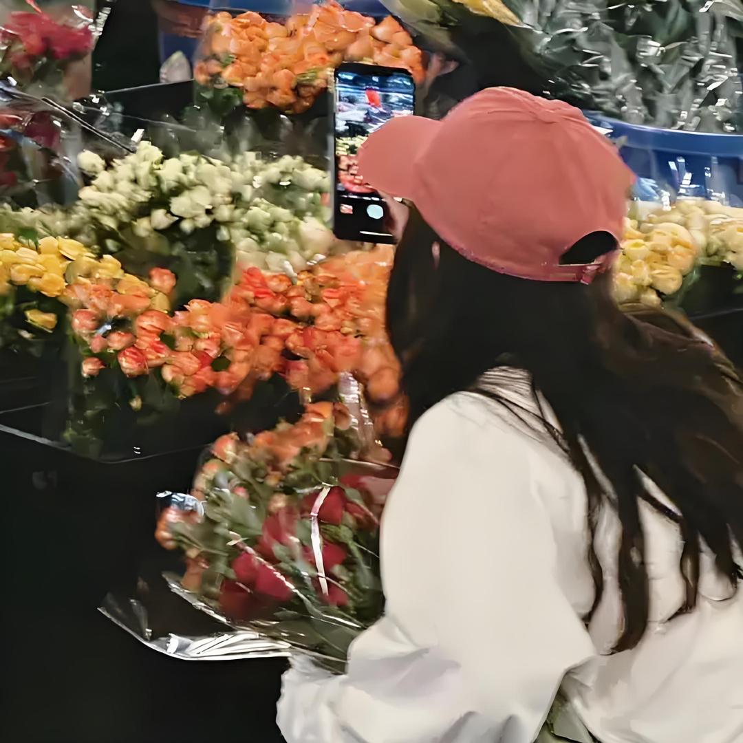 格琳菲尔.婕蔻.晶晶2A081号