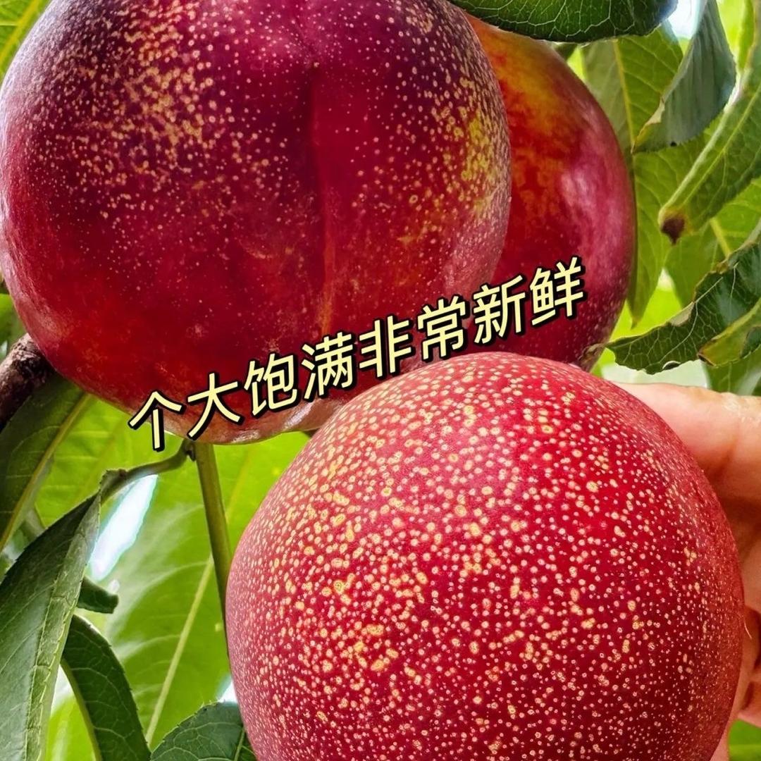 小敏水果臻选