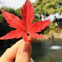 用户
